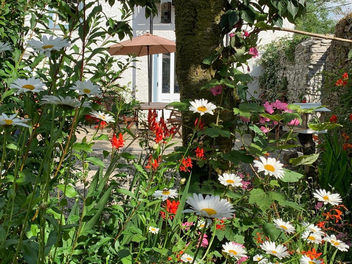 Riverbank House Bed And Breakfast Innishannon Екстер'єр фото